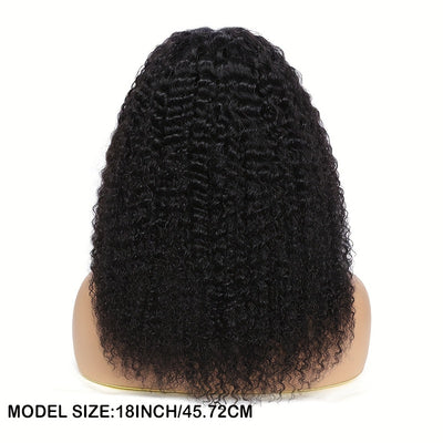 Kinky Curly Lace Front Wigs Human Hair 4x4x1 Lace Closure Wigs 180% Density Kinky Curly Wigs with Brazilian Remy Hair Unprocessed Virgin Hair Wig Natural Color (Copy)
